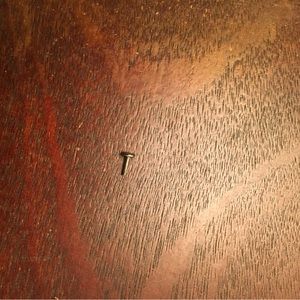 14g Anatometal flatback threaded end